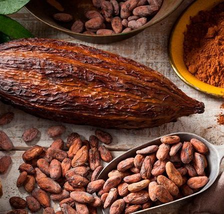 ingredientes del cacao