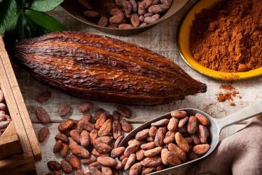 ingredientes del cacao