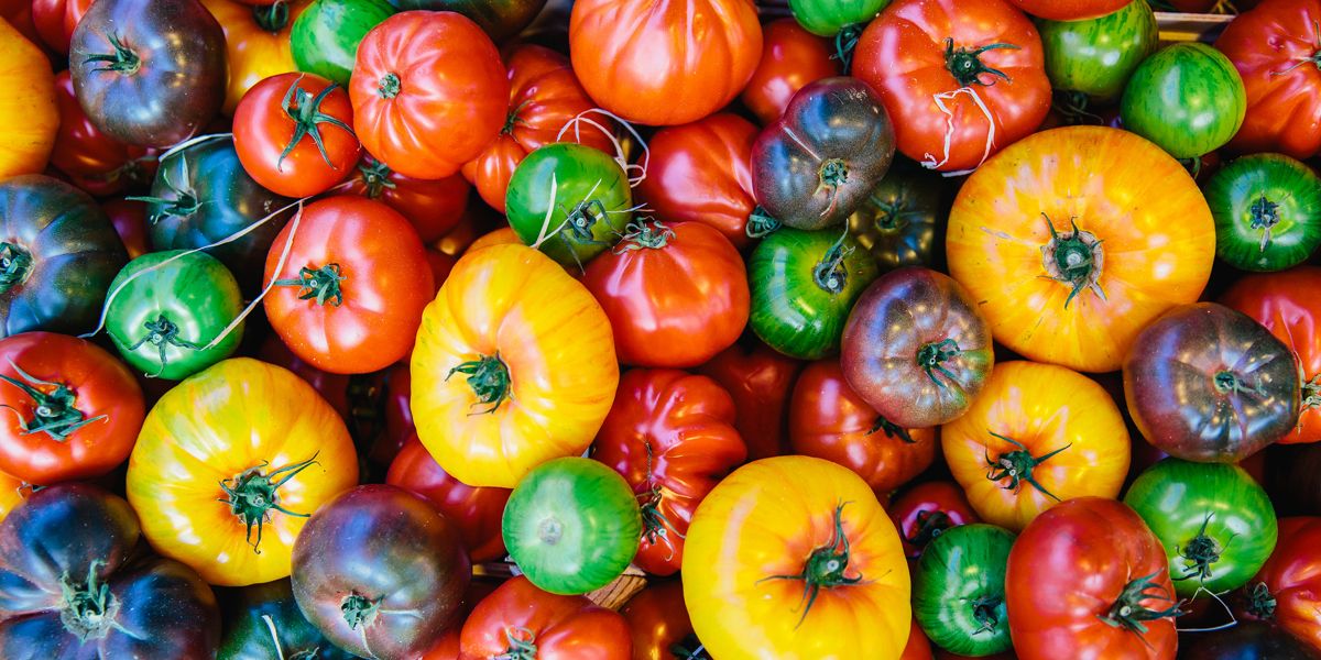 El tomate y sus variedades